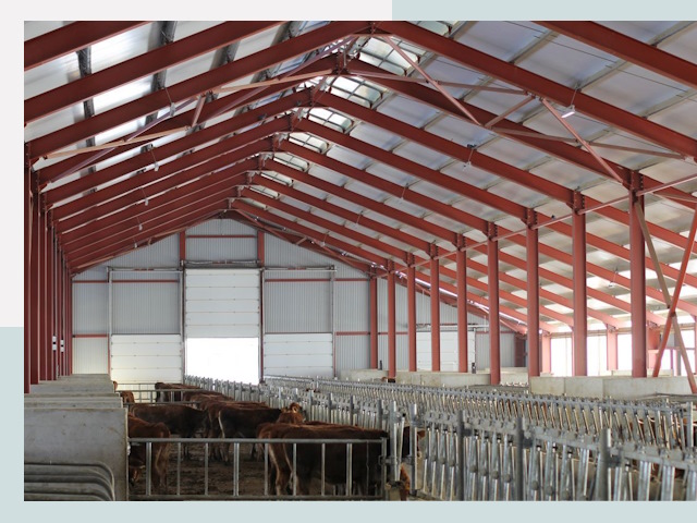 Строительство коровников в Каменске-Уральском