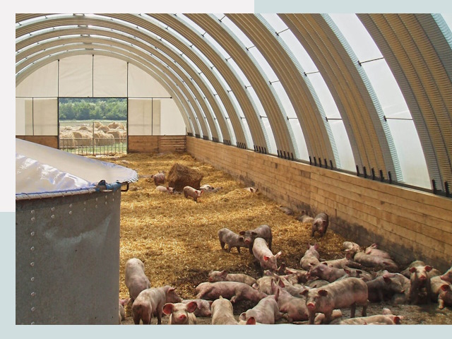 Строительство свинарников в Каменске-Уральском