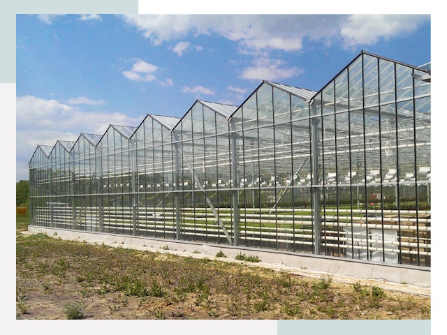 Строительство теплиц в Каменск-Уральский от 638 руб. за м²