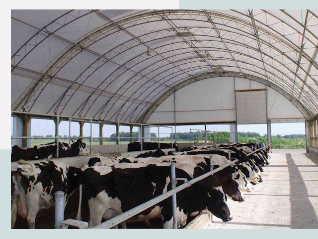 Тентовые коровники в Каменске-Уральском